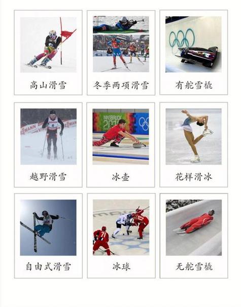 冬奥会比赛项目有哪些七个大项